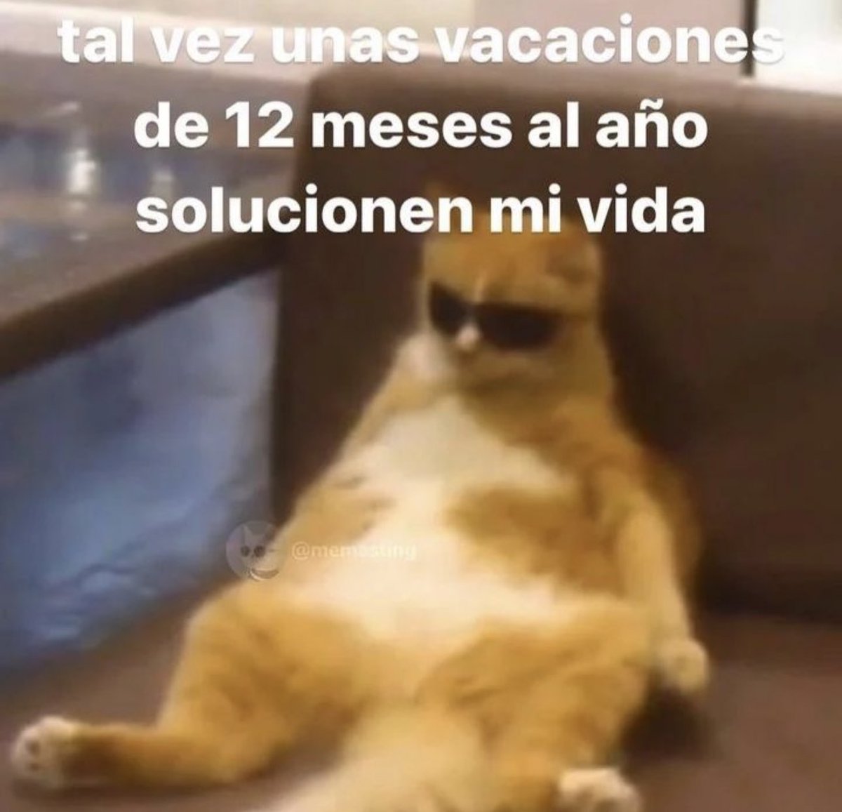 piña sin pizza (@skereunpesado) on Twitter photo 