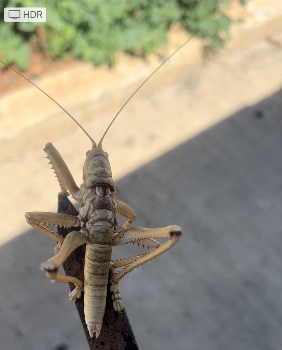 Selamünaleyküm 
Allah,herkesin işine gücüne
Bereket versin..
Bi misafir geldi,
Rabbimin güzelliklerini gösterdi…
