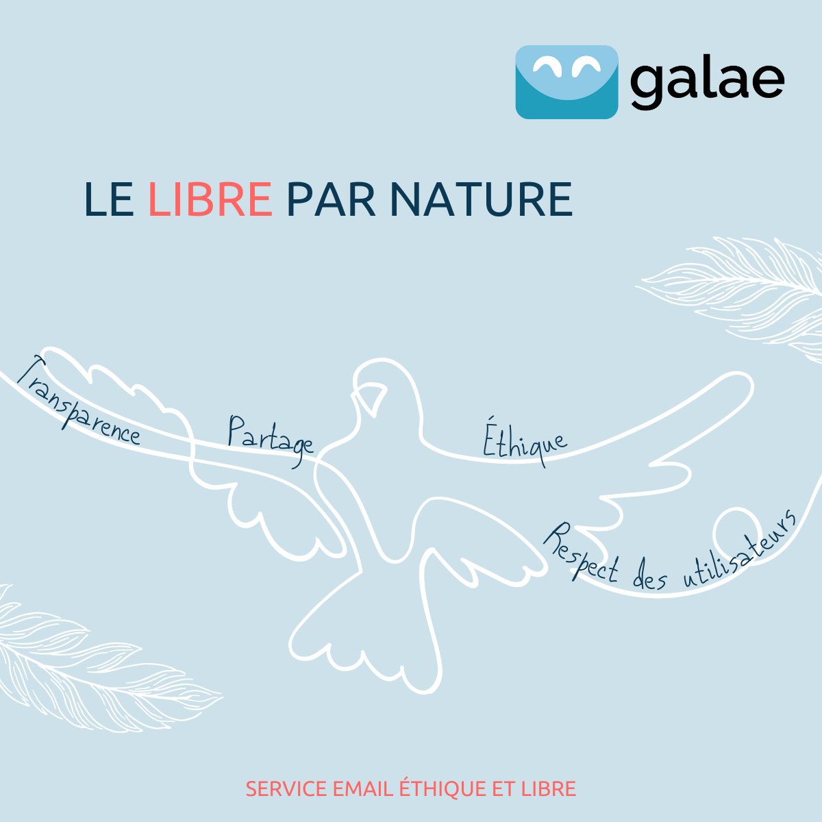 algoo (@algoofr) on Twitter photo 🔓 Le projet Galae est libre et le restera !
➡️ Avec Galae, nous souhaitons démontrer qu'un service email peut être à la fois transparent, éthique et respectueux.
➡️ Algoo est un acteur engagé pour le Libre depuis 2015.
👉 fr.ulule.com/galae-le-servi… 🔓 Le projet Galae est libre et le restera !
➡️ Avec Galae, nous souhaitons démontrer qu'un service email peut être à la fois transparent, éthique et respectueux.
➡️ Algoo est un acteur engagé pour le Libre depuis 2015.
👉 fr.ulule.com/galae-le-servi…
