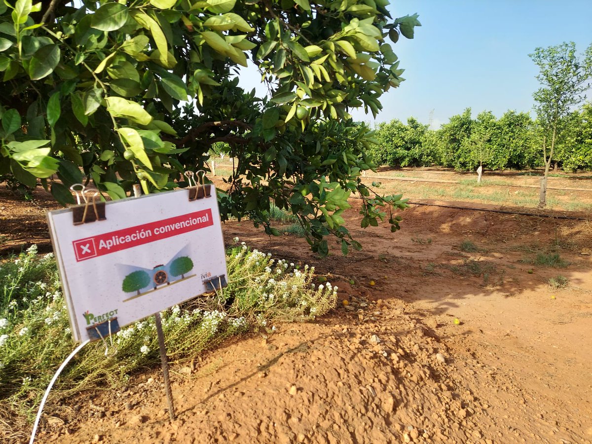 PerfectLife_EU's tweet photo. Utilizaremos la aplicación #CITRUSVOL @GVAivia y otras herramientas como las boquillas de baja deriva y el calibrado de perfil vertical. https://t.co/aJVOrxXoOs