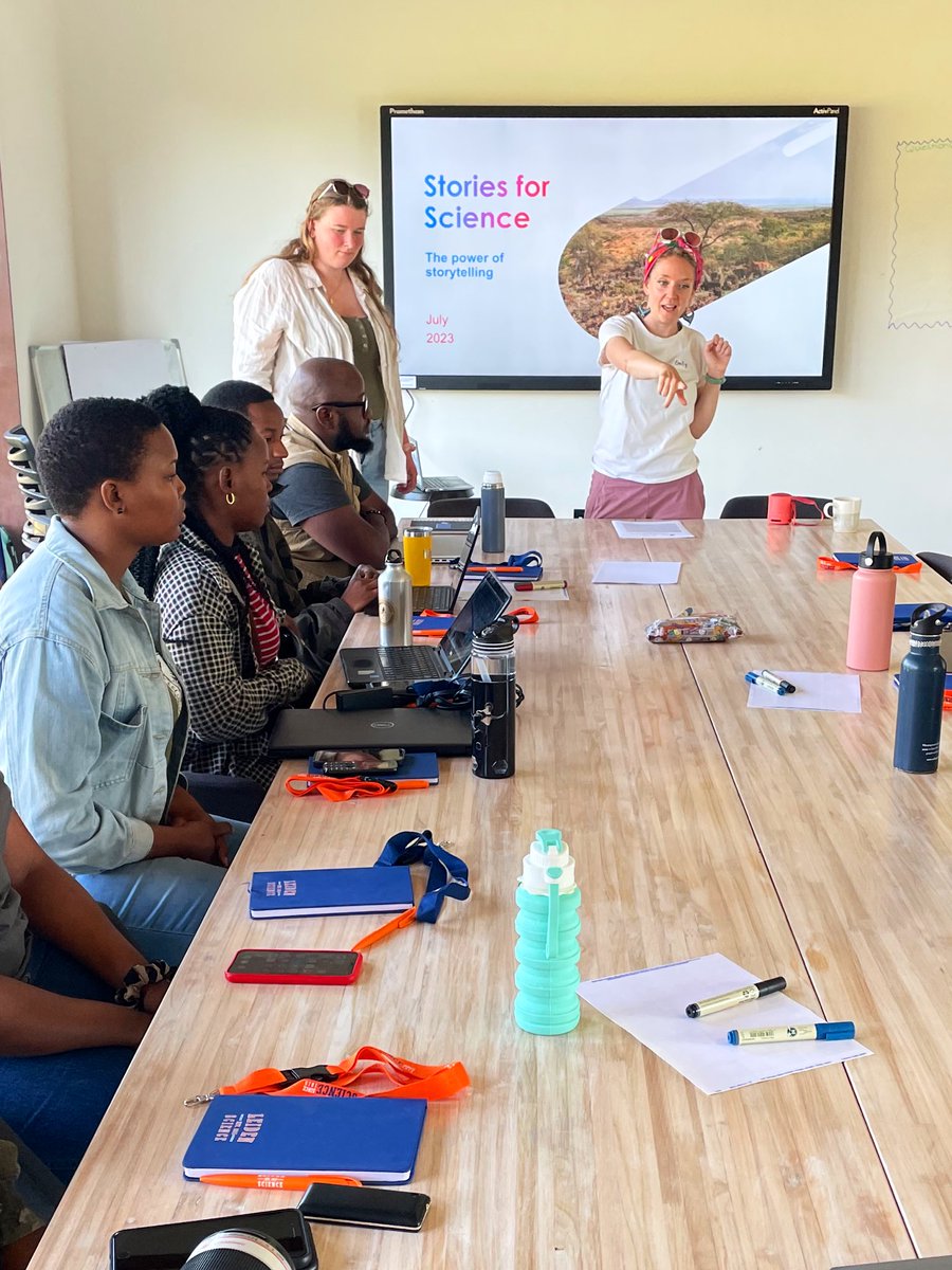 Cristiana Strava tweet media