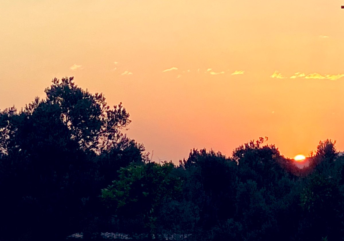 “Geçmişi ve geleceği hakkında içinde şüpheye yer kalmamış olan sevince GÜVEN, (secùrìte) adını veriyorum.”
Güven …
#baskayerdearama #MaviyeSürgün #gunaydin #mutlu #NATO