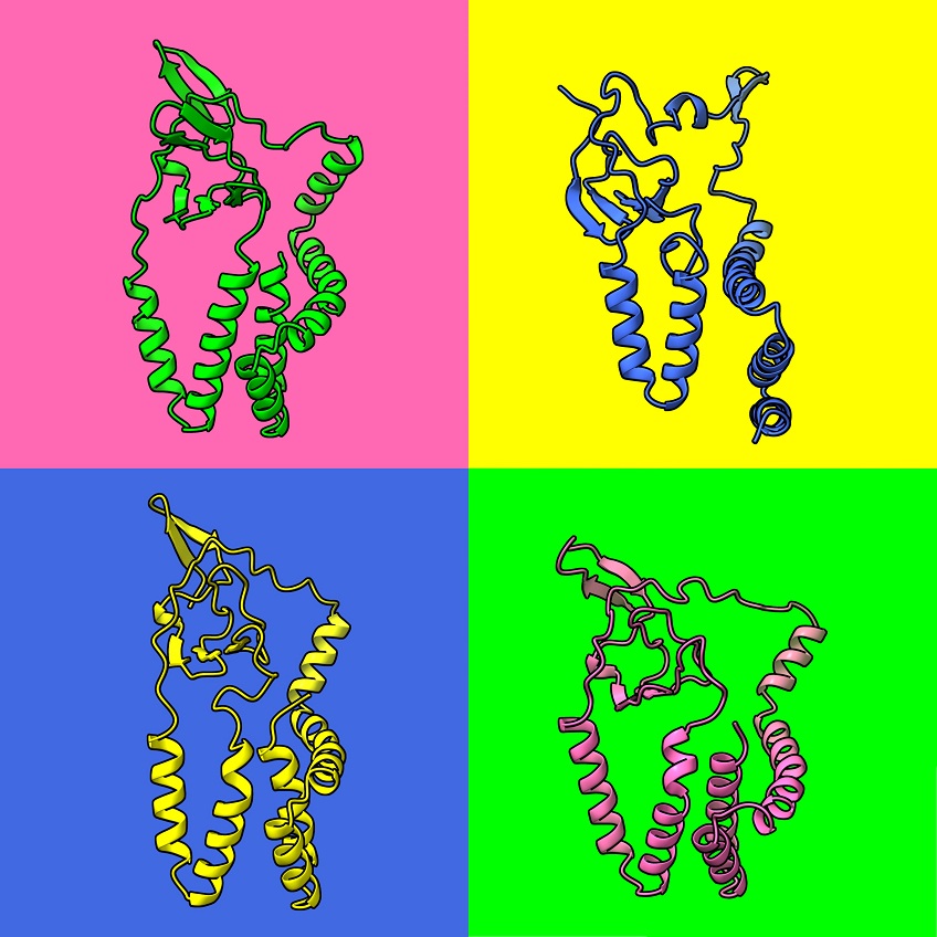 PLOSBiology's tweet photo. #AlphaFold structure prediction shows that the hepaci-, pegi- and #pestiviruses likely share a novel molecular mechanism for #VirusEntry by membrane fusion, with implications for structure-guided #vaccine design @GroveLab @KamillaToon &co #PLOSBiology https://t.co/9KsAsX1302 https://t.co/RaQjQw8YEi