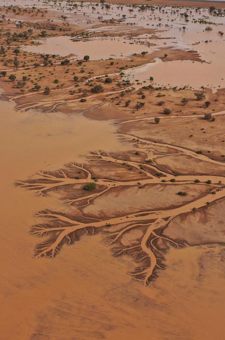 مالك الروقي tweet media