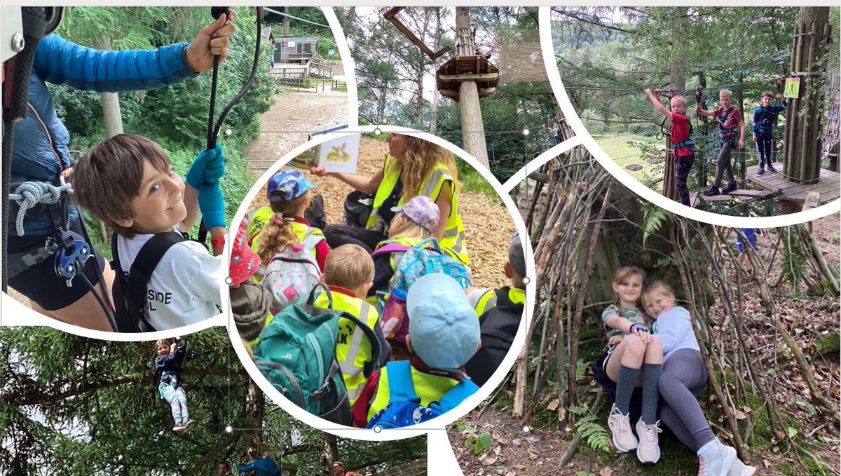 Ryedale Learning Trust tweet media