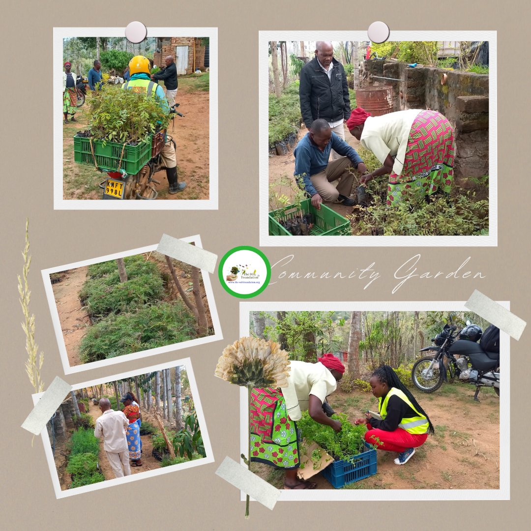 The Community Garden in Kenya 🇰🇪 @the_solf_org in collaboration with @SoilWaterEnvir2 has come a long helping the communities by ending hunger, providing employment opportunities, providing an income and empowering women. Keep supporting : the-sol-foundation.org/swecf.html