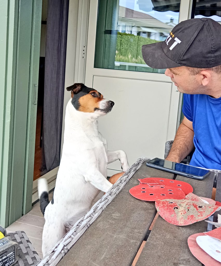 Maren Østbø tweet media