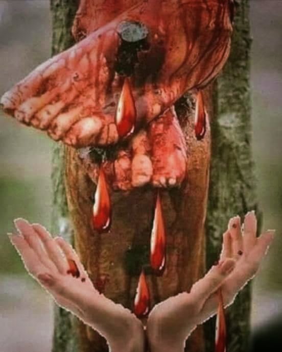 flor_ell879's tweet photo. O Jesus,I kneel at Your bleeding feet, pleading that You will hear me, many graces &amp; mercies have come from Your Blood. O Lord Jesus, by Your Precious Blood we are forgiven and saved 🙏✝️🕯️❣️🕊️

#JulyMonth #PreciousBloodOfChrist #Devotion https://t.co/MCAisGs4kc