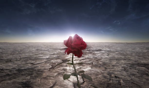 1122Blessed's tweet photo. Pay attention when you're going through pain and mysterious times.
listen to the wisdom life is trying to teach youโฆ
#QueenRising #Growth #ListenWithin https://t.co/jMYL8lF6WQ
