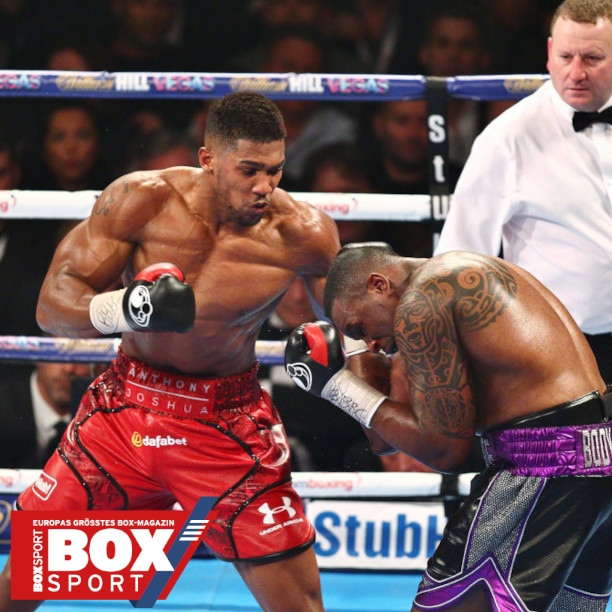 BoxSport Magazin tweet media