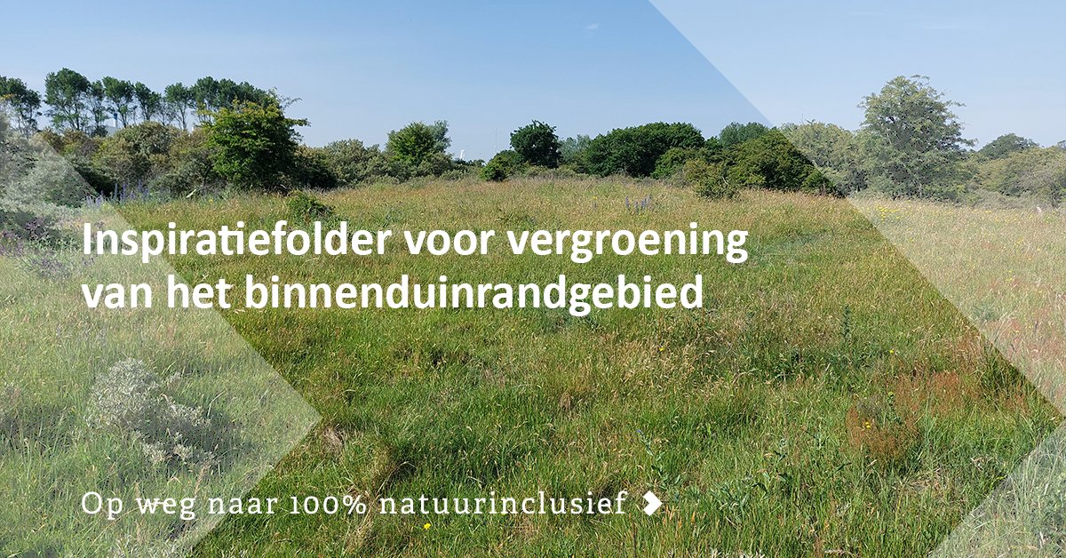 In binnenduinranden komen veel functies samen. Daardoor neemt de druk op de omliggende natuurgebieden toe. Lees over de inspiratiefolder met vergroeningsvoorstellen die we opstelden voor het Nationaal Park Zuid-Kennemerland
ow.ly/BitO50P8v2B

#Eelerwoude #vergroening