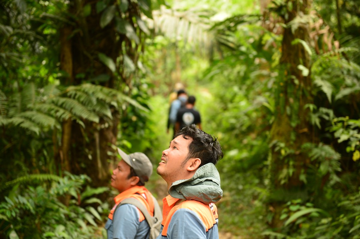 OrangutanTOP's tweet photo. Illegal practices continue to threaten orangutans in Indonesia.
We partner with @scorpionmonitor to conduct investigations, collect evidence, and report illegal activities to the Indonesian government.
Donate today to fund vital projects.
#ProtectOrangutans #StopWildlifeCrime https://t.co/l88M1IFDWn