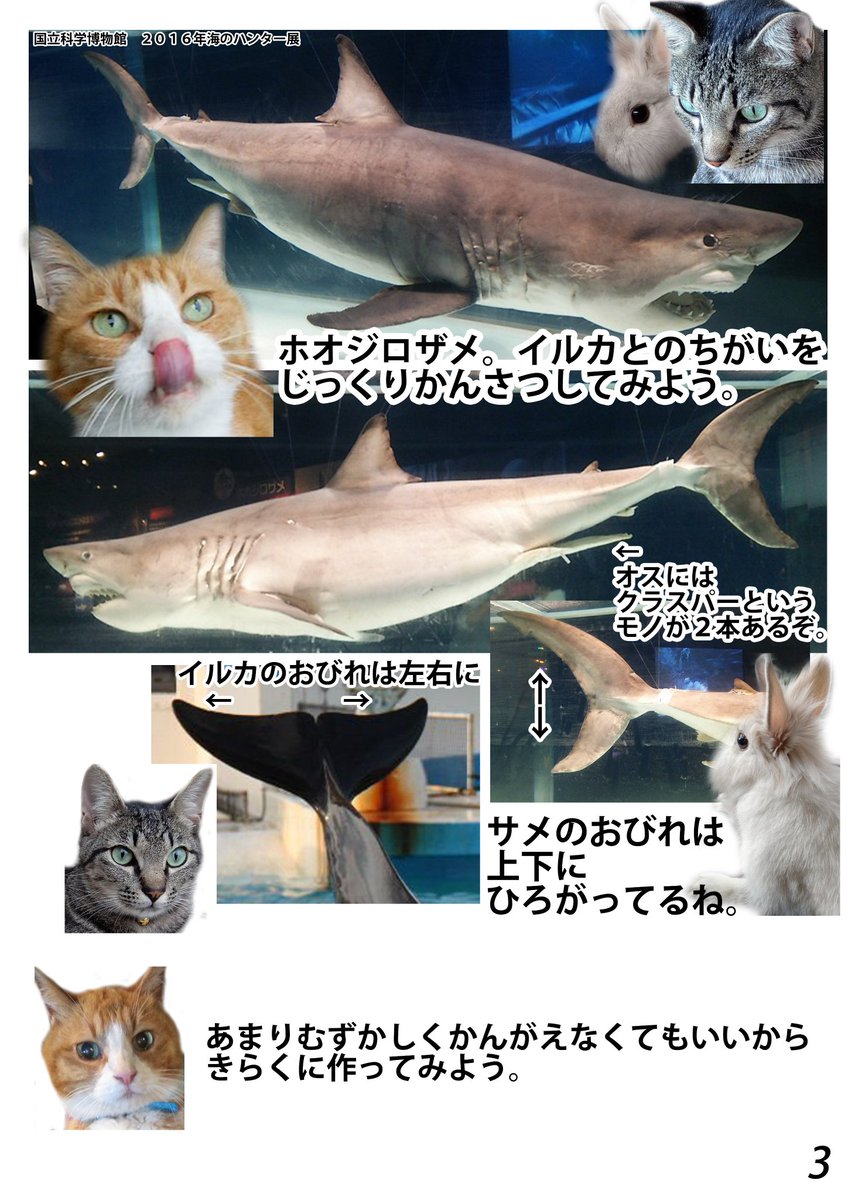 工作教室でお子さん達に配ったパンフレット。 