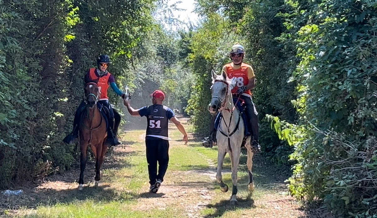 EgitimTay's tweet photo. Demetra 🧿
100 km ✅
Samorin / Slovakya 🇸🇰
🇹🇷🇹🇷🇹🇷
@turnamehmett @orionhakki @XBionic
#xbionic #fei #tbf #endurance #arabianhorse #turkiye #demetra #ttrack # https://t.co/sszLRzJwxF