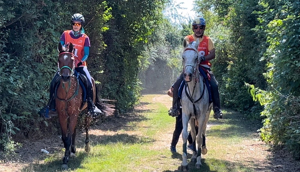EgitimTay's tweet photo. Demetra 🧿
100 km ✅
Samorin / Slovakya 🇸🇰
🇹🇷🇹🇷🇹🇷
@turnamehmett @orionhakki @XBionic
#xbionic #fei #tbf #endurance #arabianhorse #turkiye #demetra #ttrack # https://t.co/sszLRzJwxF