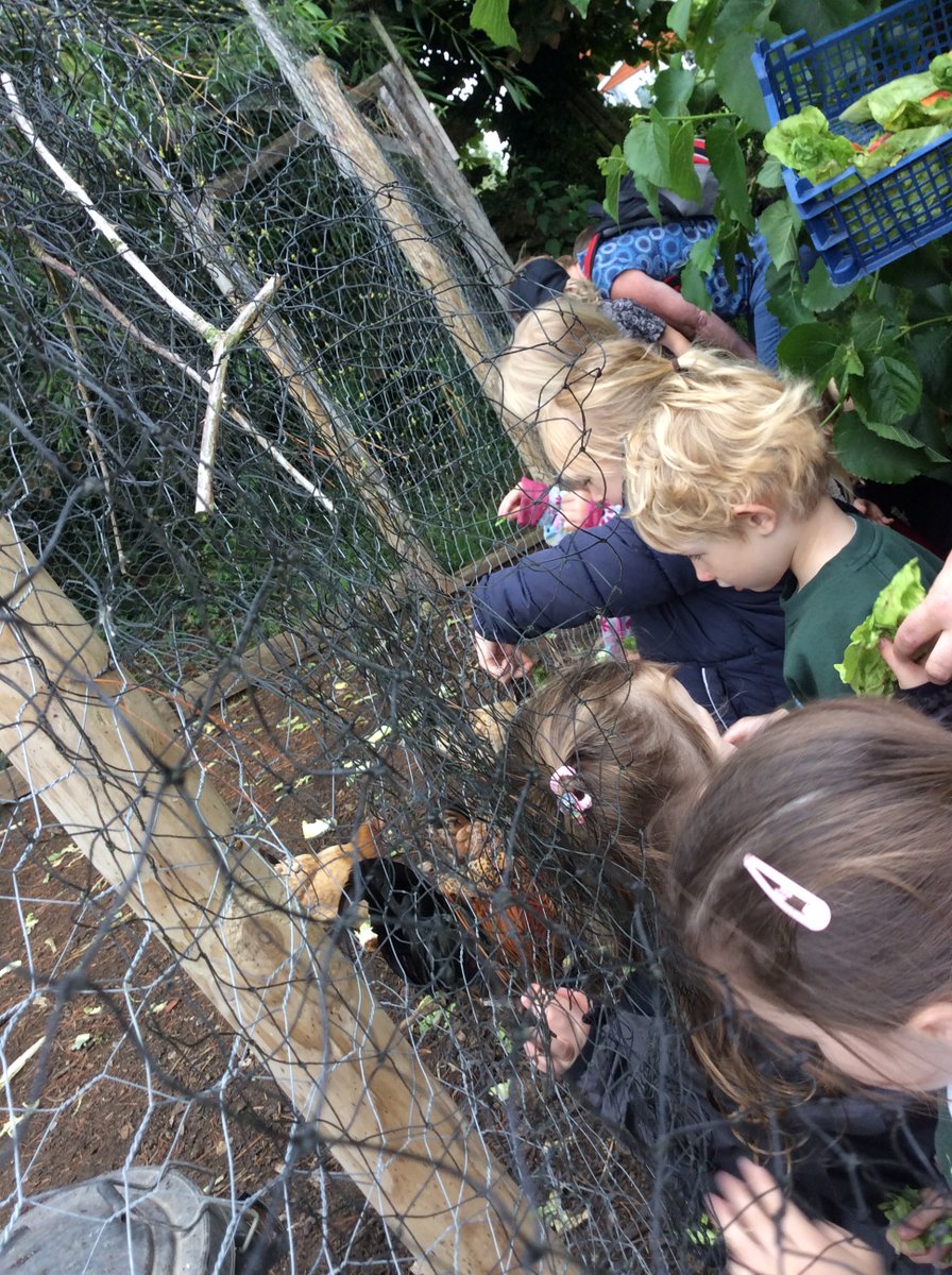 BPS EYFS (@bps_eyfs) on Twitter photo Fantastic visit to <a href="/WashingpoolFarm/">Washingpool Farm</a> yesterday with lots of activities led by <a href="/DiscoverFarming/">Discover Farming</a>. Feeding animals, picking crops, planting seeds...thanks for having us! #eyfs #ltfot Fantastic visit to <a href="/WashingpoolFarm/">Washingpool Farm</a> yesterday with lots of activities led by <a href="/DiscoverFarming/">Discover Farming</a>. Feeding animals, picking crops, planting seeds...thanks for having us! #eyfs #ltfot