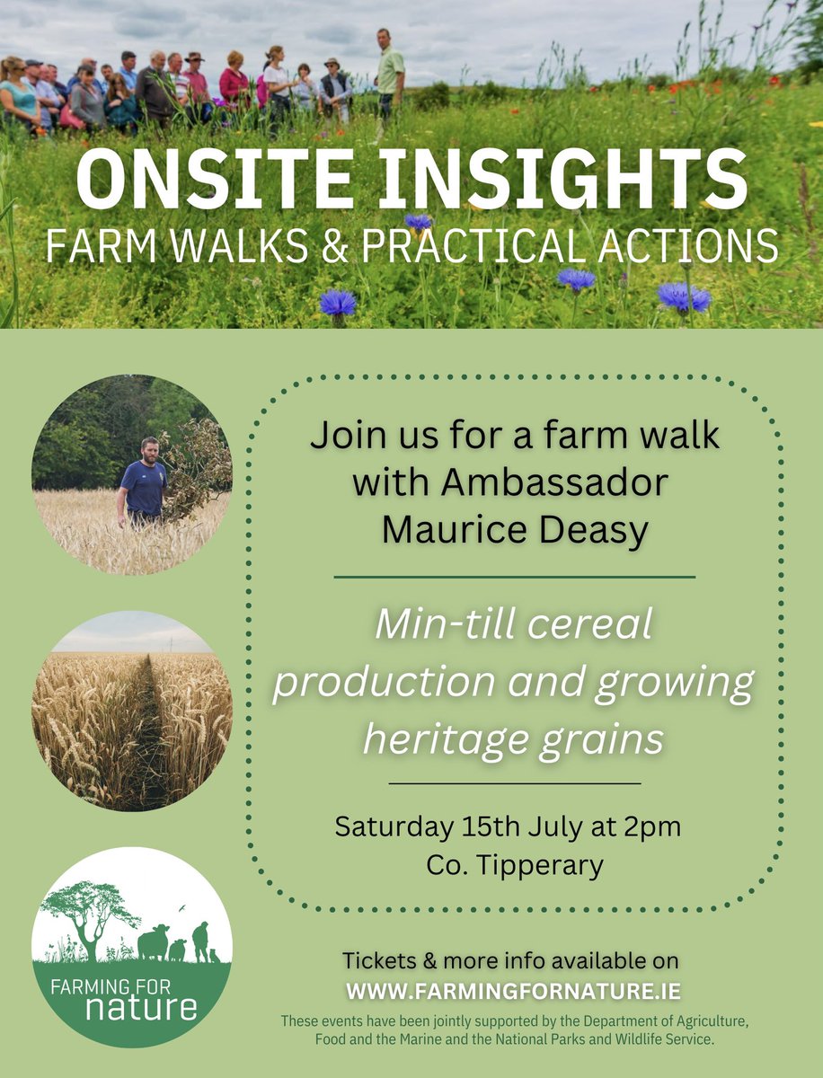 Just 4 tickets left for Maurice Deasy’s farm walk - this Saturday 15th July at 2pm - near Roscrea Co. Tipp 🌾 Join us to learn about min-till cereal production, growing heritage grains and much more! Tickets available here buytickets.at/farmingfornatu… #ffnambassadors #ffnfarmwalks