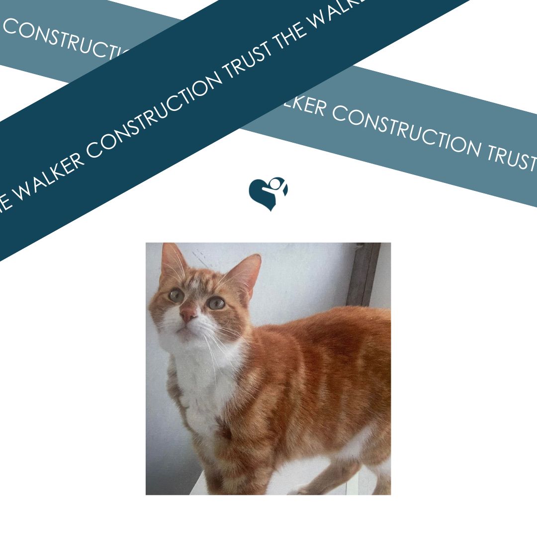 Walker Construction tweet media