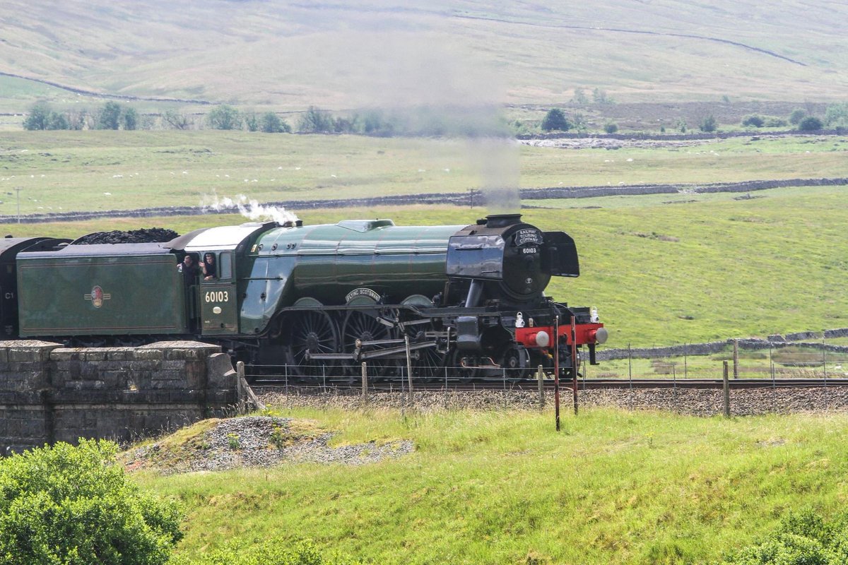 WireHairedDachs's tweet photo. Watching the #FlyingScotsman going over the Ribblehead Viaduct was fabulous! https://t.co/7moIZrbnrM
