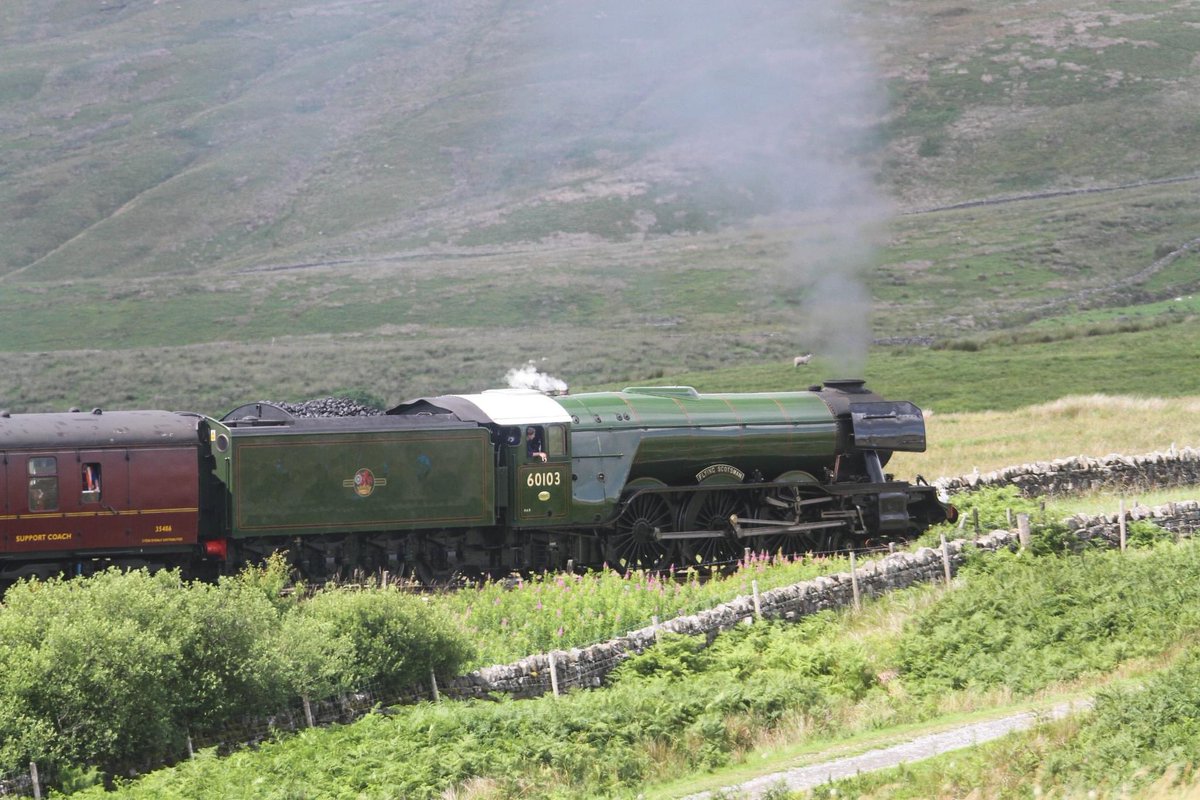 WireHairedDachs's tweet photo. Watching the #FlyingScotsman going over the Ribblehead Viaduct was fabulous! https://t.co/7moIZrbnrM