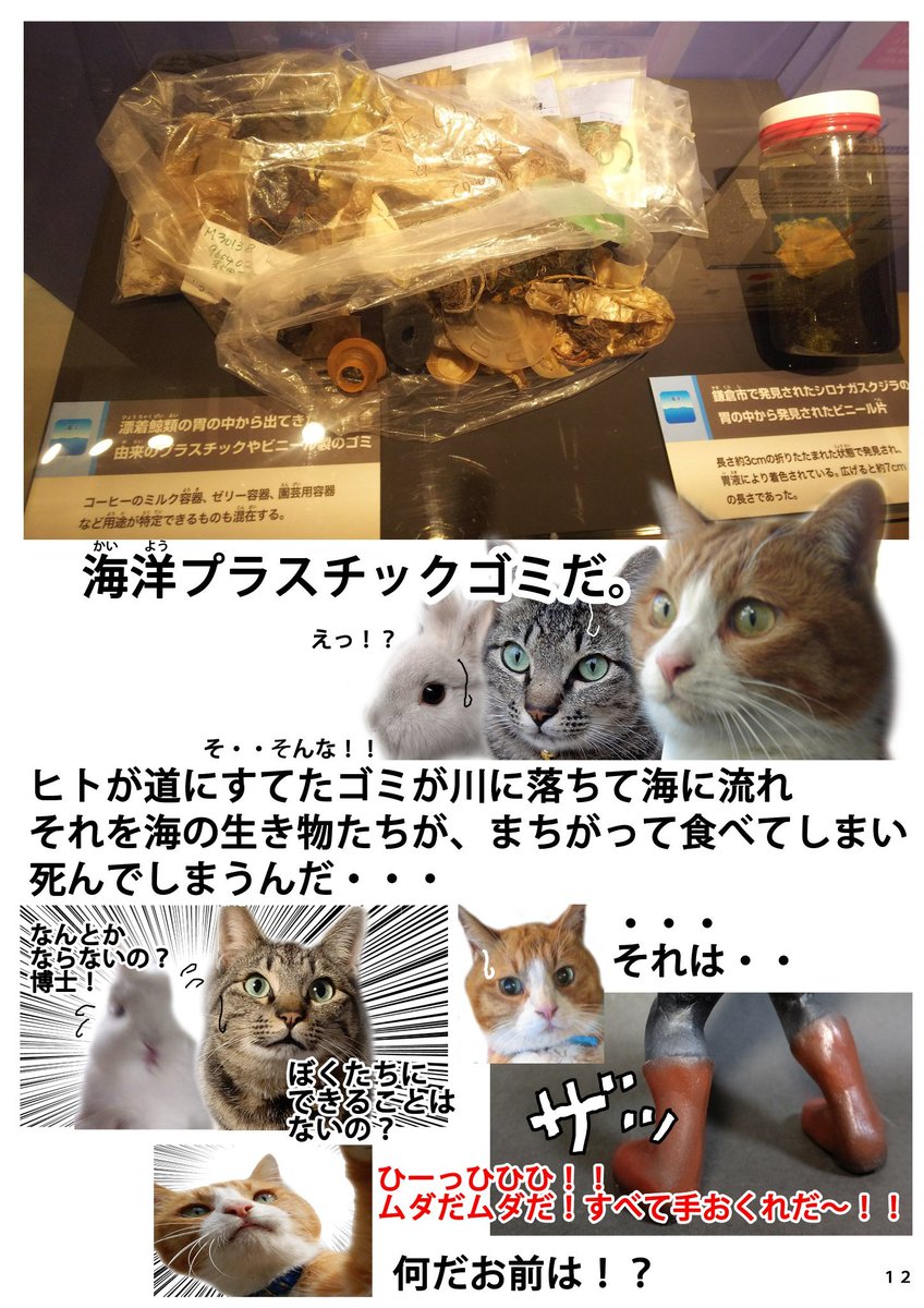 当初はチャトラ博士が淡々と生き物の解説をするだけだったが、お子さんにも共感してもらえるよう、キジトラ助手、うさみちゃんも登場させ、さらにバトル展開も加えた。 