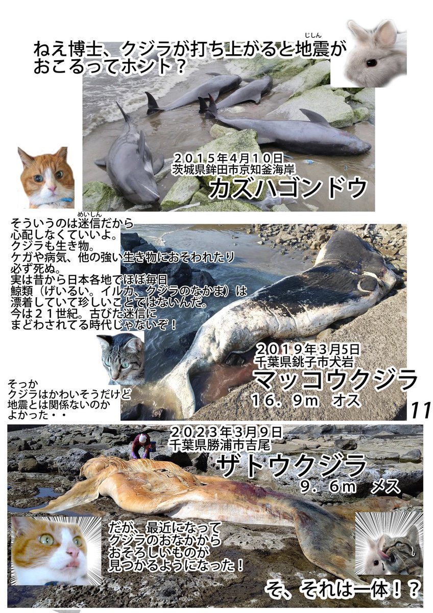 当初はチャトラ博士が淡々と生き物の解説をするだけだったが、お子さんにも共感してもらえるよう、キジトラ助手、うさみちゃんも登場させ、さらにバトル展開も加えた。 