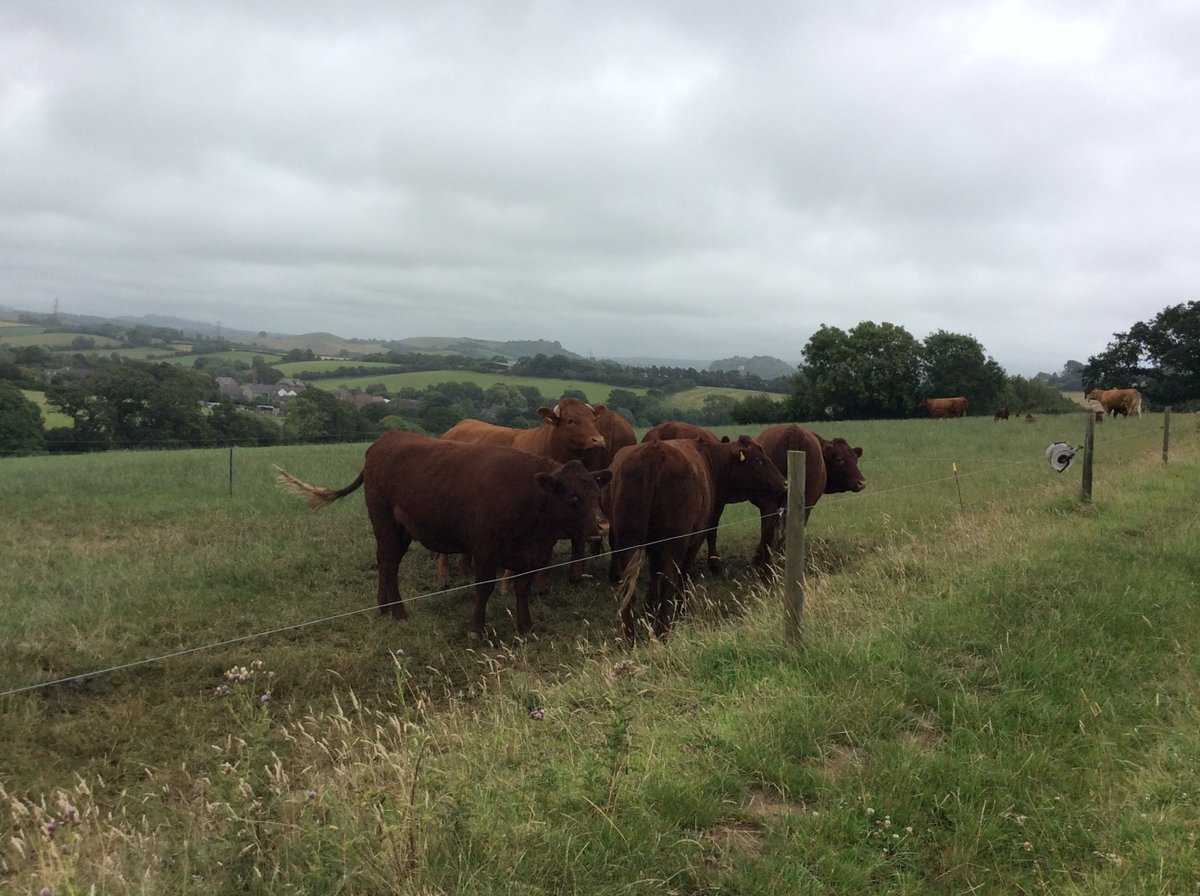 BPS EYFS tweet media