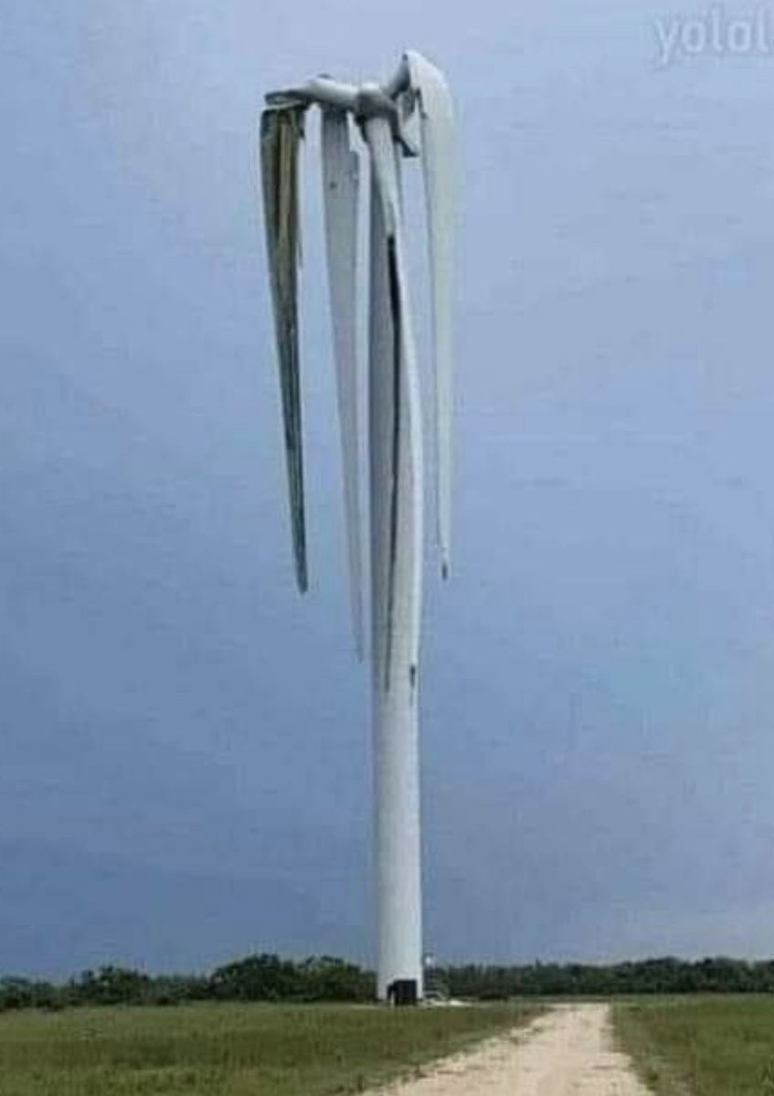 😉 😅 Très certainement un manque d’eau… l’effet canicule …