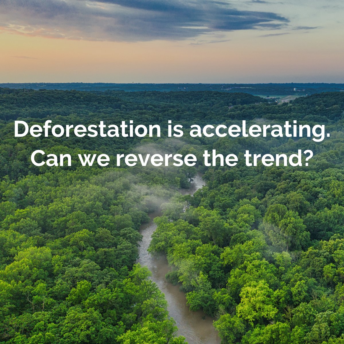 .<a href="/WorldResources/">World Resources Institute</a> reports that an area of rainforest the size of Switzerland was lost to #deforestation in 2023.

It also found this trend is reversible. We’re doing our part by developing Proton™, which doesn’t require arable land to produce.

Read more 👉research.wri.org/gfr/latest-ana…
