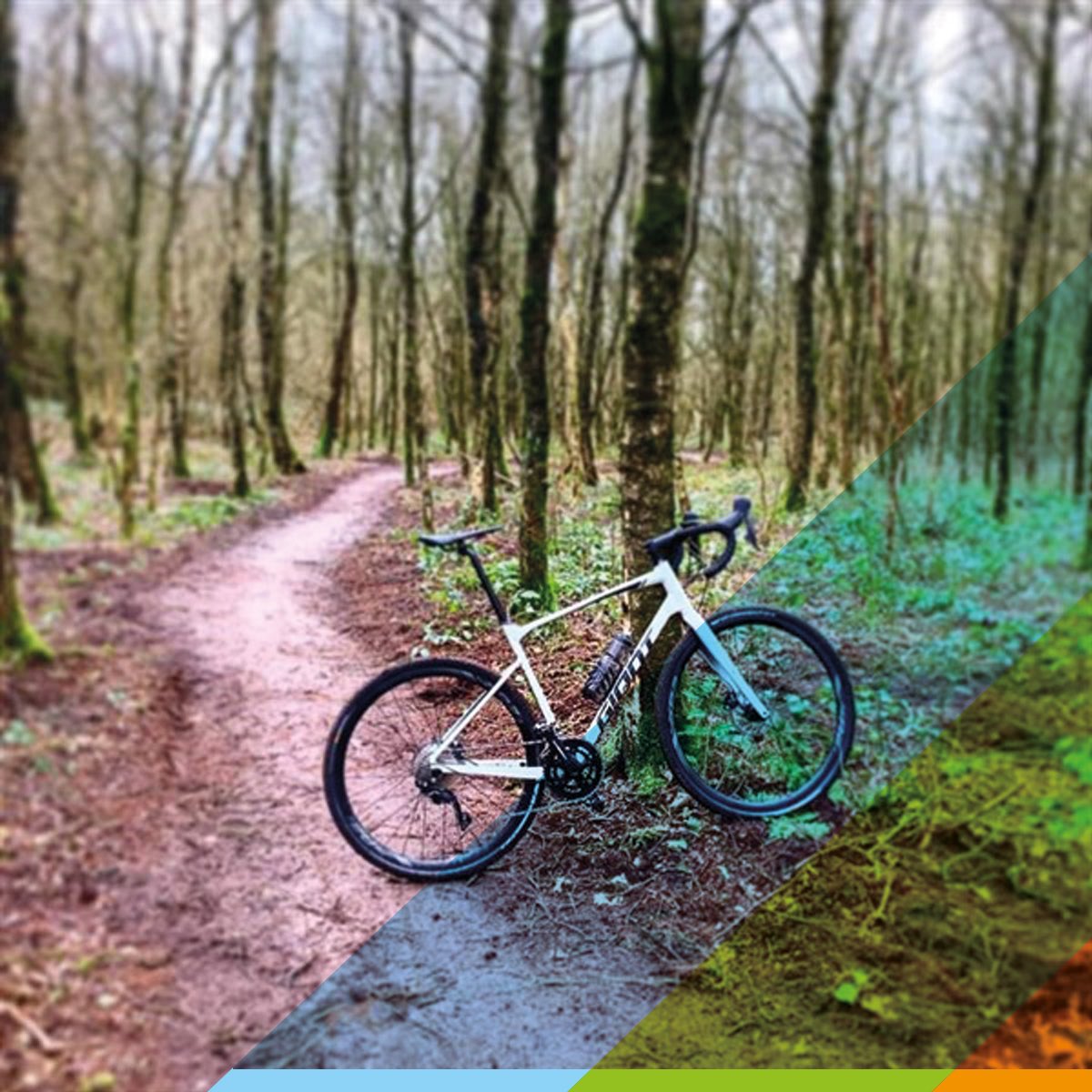 Wielercomité tweet media