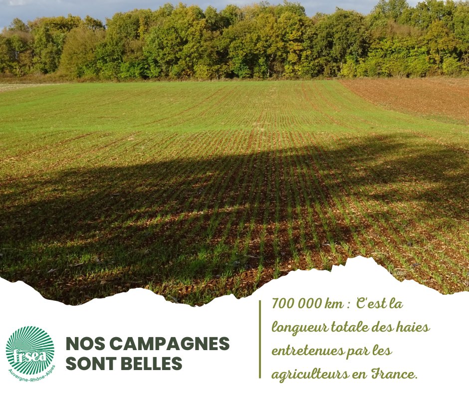 FRSEA_AURA's tweet photo. [Nos campagnes sont belles] 700 000km : C’est la longueur totale des haies entretenues par les agriculteurs en France. Soit 17 fois le tour de la Terre. Merci les agris ! https://t.co/rYwrpiOPHj