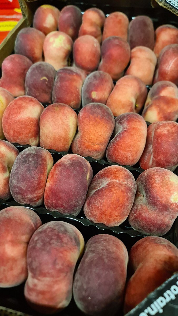 First Choice Produce tweet media