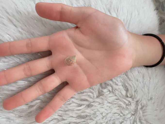 Twitterのコスプレ画像8