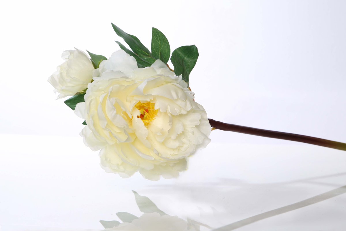 MezuSilkFlowers's tweet image. Peonies - Always In Fashion and Always Stylish - mailchi.mp/78a3a021510d/p… #silkflowers #artificialflowers #fauxflowers #silkpeony #silkpeonies #floral #florist #eventplanner #theatres #events #weddings #bouquets #floralarrangements #wholesalesilkflowers
