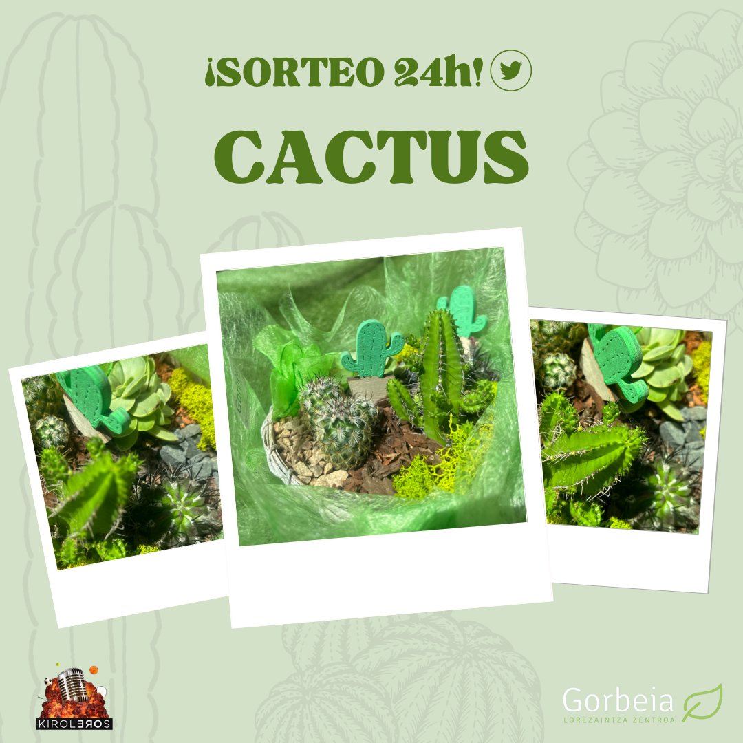 ViverosGorbeia's tweet photo. ¡SORTEO 24H! 💐
Sorteamos un centro de cactus para que se la puedas regalar a quién tú quieras. Requisitos:

🌺Vivir en Vitoria o alrededores

🫂Seguir a @kiroleros y @viverosgorbeia

💜Darle a rt

🎁Dinos ¿A quién se la regalarías y por qué? (1 comentario por cuenta)

¡SUERTE!🍀 https://t.co/eVefEzOnJH