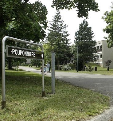 Les Écologistes - Grand Lyon Métropole tweet media