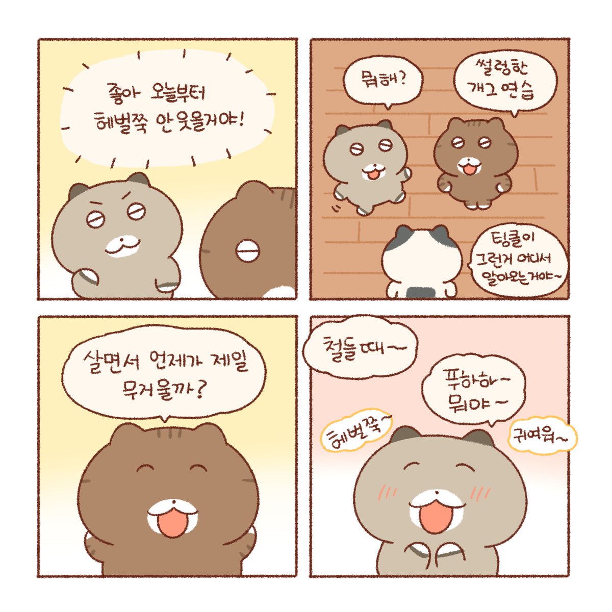 솔직한게 최고야🐱(1) 