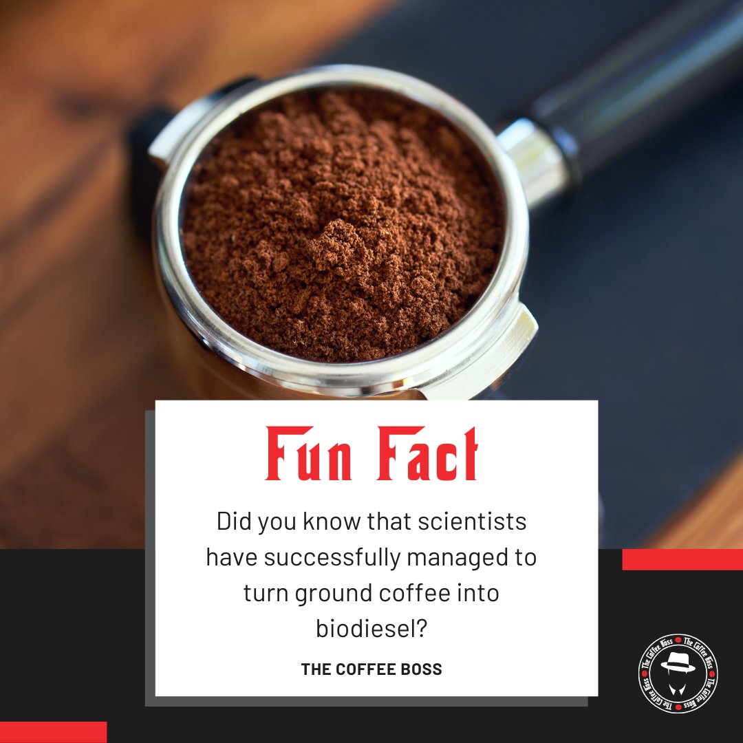 Did you know that scientists have successfully managed to turn ground coffee into biodiesel? 🧪

This fascinating discovery means that one day #coffee may be fuelling our cars (as well as our minds) 🥱

Have you got any crazy coffee facts? Let us know in the comments 👇