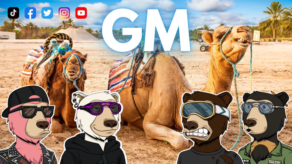MuzeMeta's tweet photo. GM ☀️ Crypto Twitter &amp; Web3 Wizards

Happy Hump Day! 🐫 Let’s CRUSH it! https://t.co/zvVY56G6ys