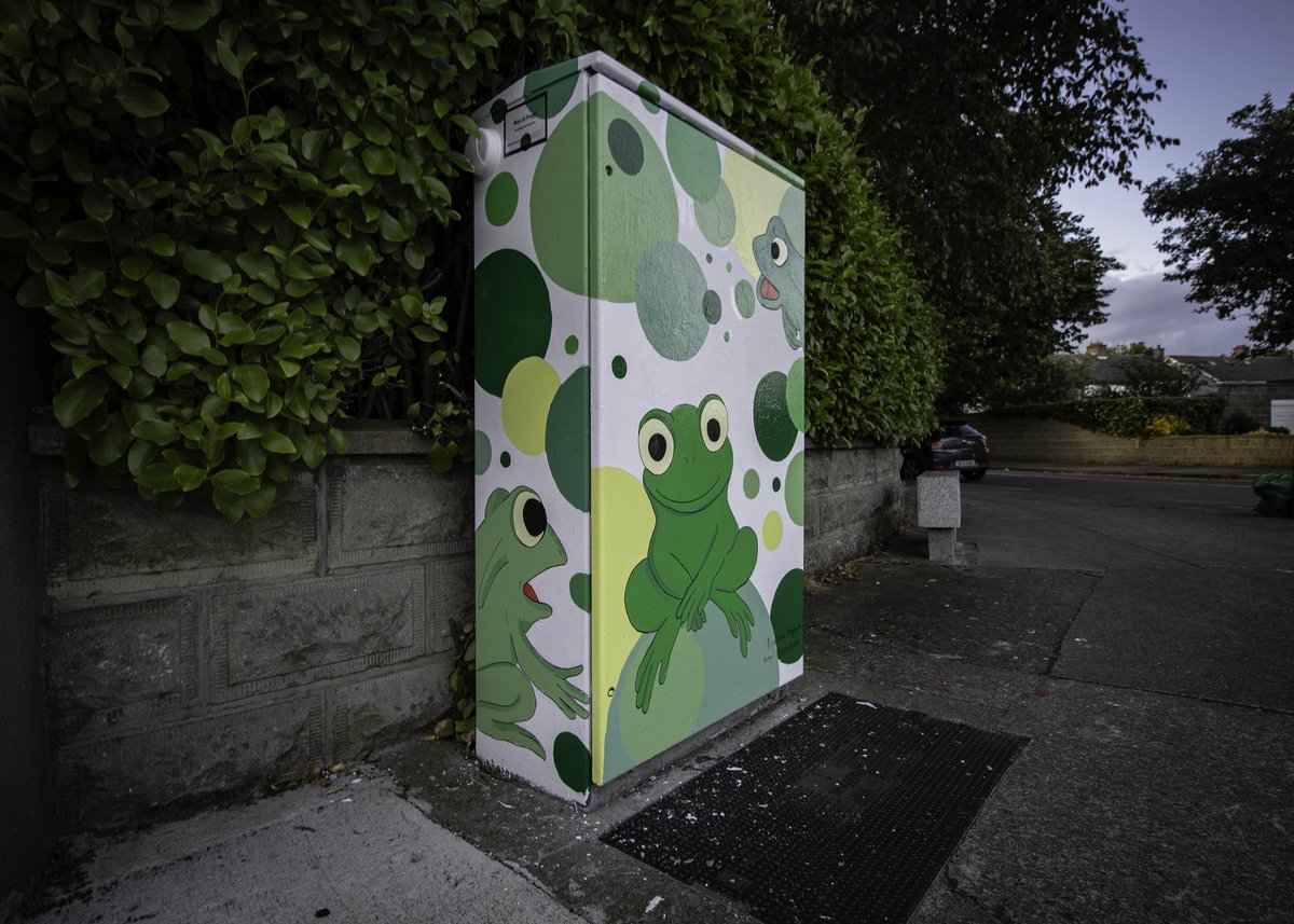 DublinCanvas's tweet photo. Superb new artwork ‘Box of Frogs’ by Ukrainian artist Dzhyganska Yelyzaveta. Artwork located at Limewood/Tonlegee Road, Donaghmede, Dublin 5
@DCCdonaghmede @DubCityCouncil https://t.co/yypBCIz1vI