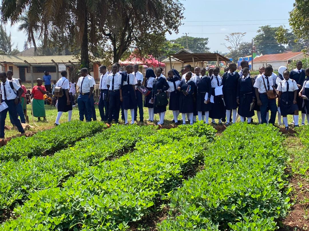 NrmYouthleague's tweet photo. Day 3: The gates are open to the general public #AgricEducShowUg @MAAIF_Uganda https://t.co/NRvtFGZhiL