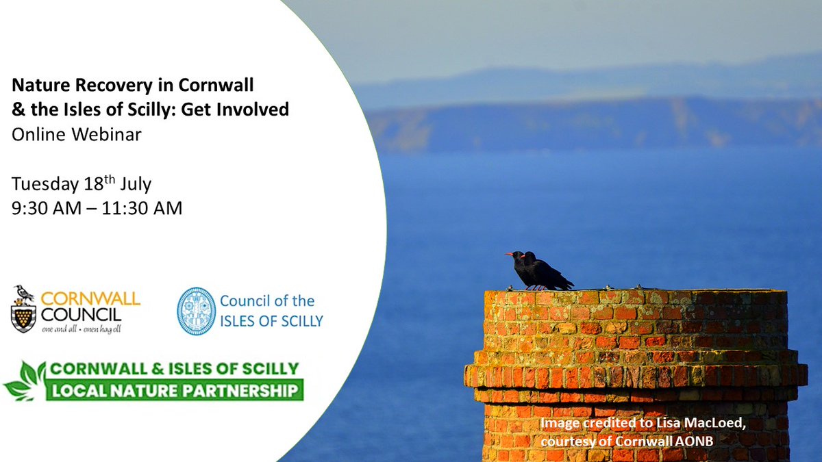 Cornwall and IoS Local Nature Partnership (@cios_nature) on Twitter photo We’re supporting <a href="/CornwallCouncil/">@cornwallcouncil</a> & <a href="/IOSCouncil/">Council of the Isles of Scilly</a> in the creation of a new Local Nature Recovery Strategy for Cornwall and the Isles of Scilly. Join our online launch event to learn more. eventbrite.co.uk/e/nature-recov… We’re supporting <a href="/CornwallCouncil/">@cornwallcouncil</a> & <a href="/IOSCouncil/">Council of the Isles of Scilly</a> in the creation of a new Local Nature Recovery Strategy for Cornwall and the Isles of Scilly. Join our online launch event to learn more. eventbrite.co.uk/e/nature-recov…