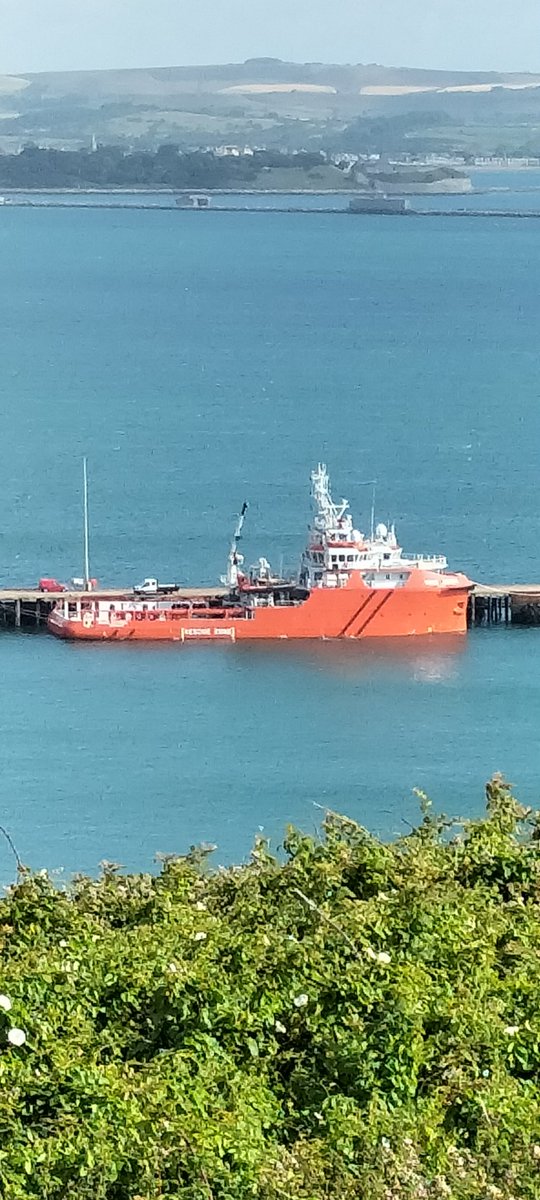 AytonJustyn's tweet photo. Boycott portland port 🇬🇧 viking sentinel 🇬🇧 in dorset on Wednesday 12th July 2023. #vikingsentinel #portland #dorset #weymouth #ships #shipping #shipstopping #sentinelmarine https://t.co/9PlbXZ8jns