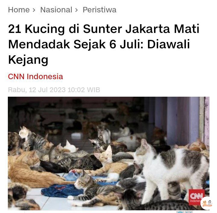 KochengFess v2 tweet media