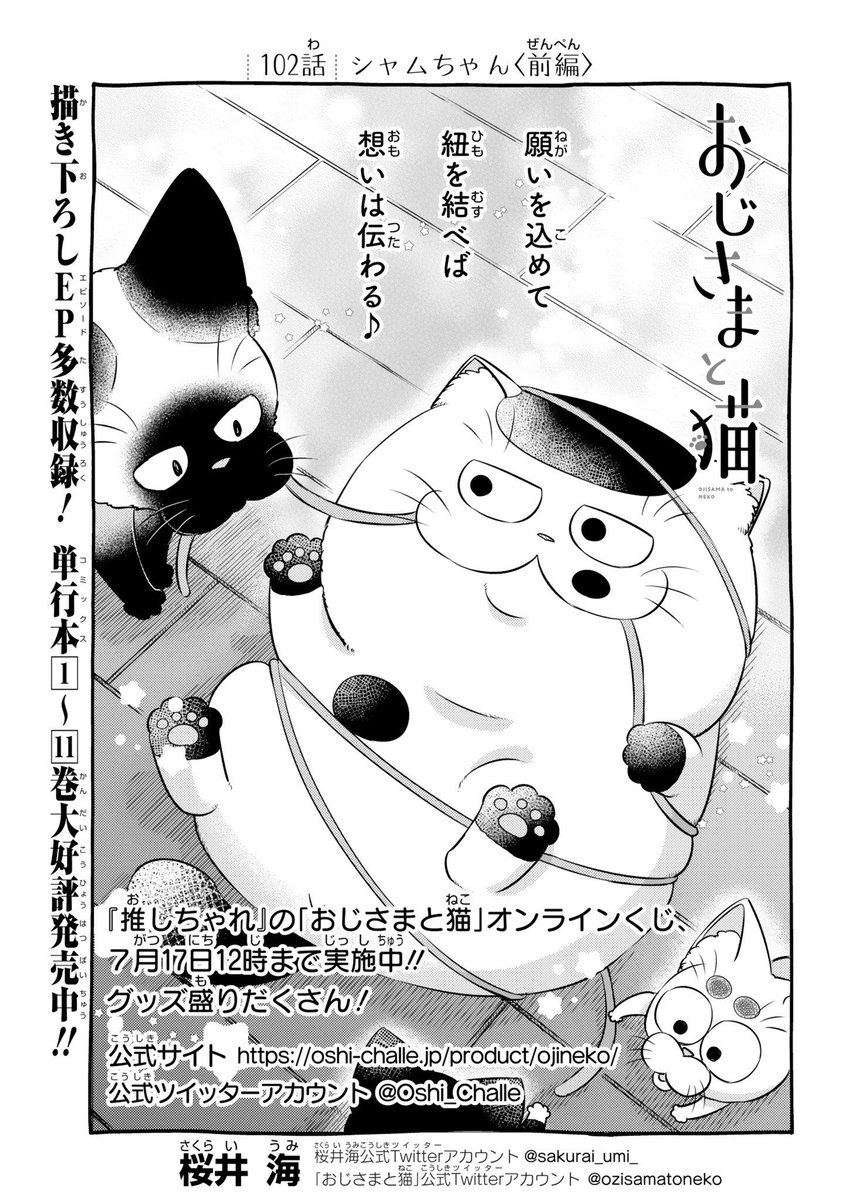 月刊少年ガンガン8月号が本日発売しました!
おじさまと猫102話が載っております🐱
よろしくお願いします! 