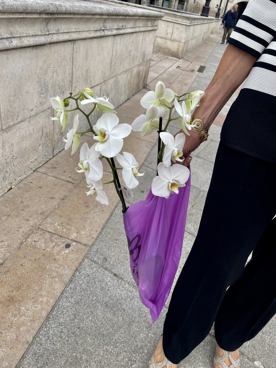 SilviA Caballero Basurto 🌈💙 (@silvicabal) on Twitter photo Porque regalando #flores nunca te equivocas. Gracias <a href="/FloresCastilla/">Castilla Floristería</a>💐 por la atención y los consejos sobre #orquideas 😍 Porque regalando #flores nunca te equivocas. Gracias <a href="/FloresCastilla/">Castilla Floristería</a>💐 por la atención y los consejos sobre #orquideas 😍