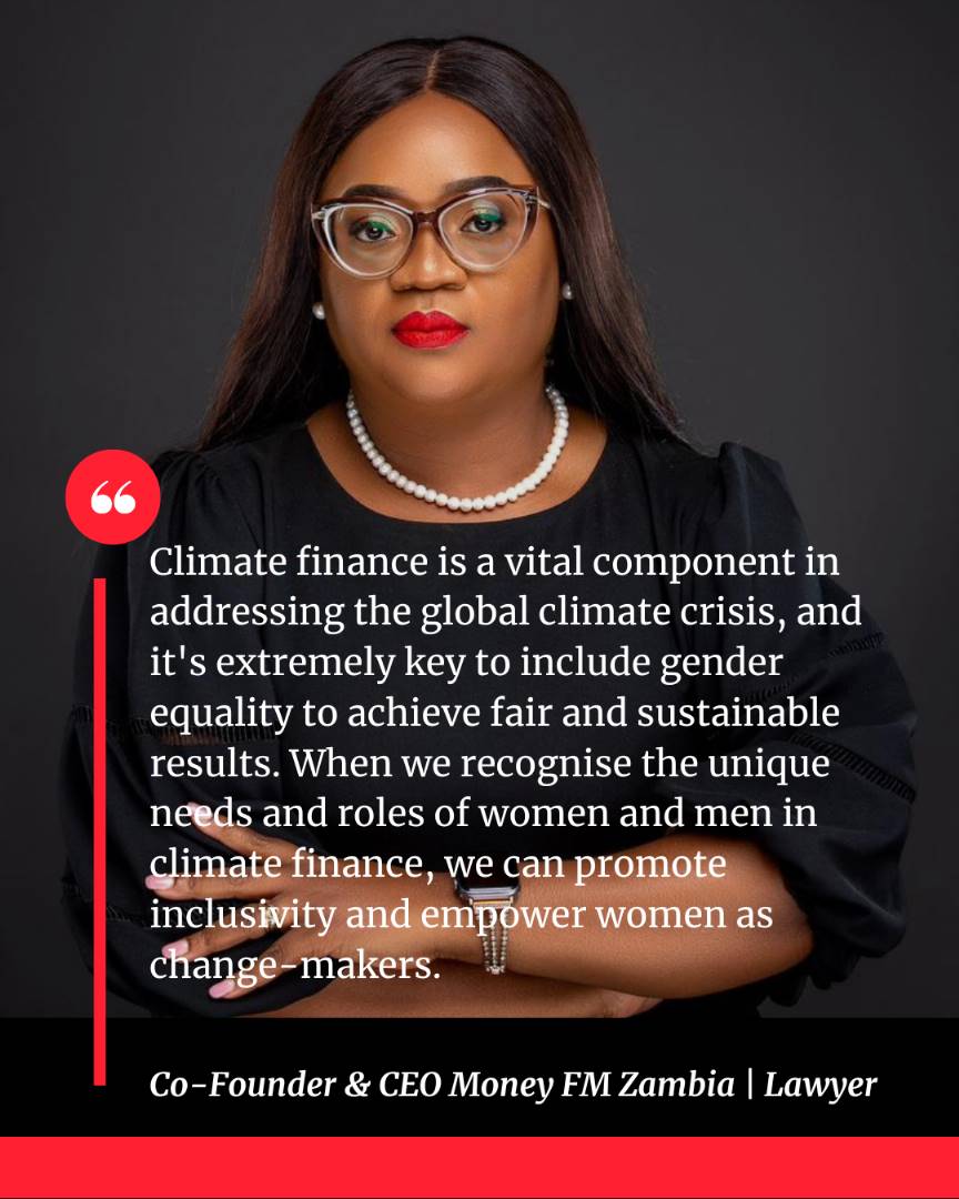 WLCA Building up to COP28. Gender and Climate Finance