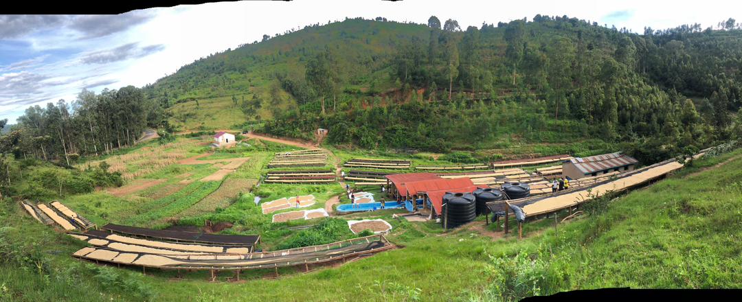 SIMBI COFFEE tweet media