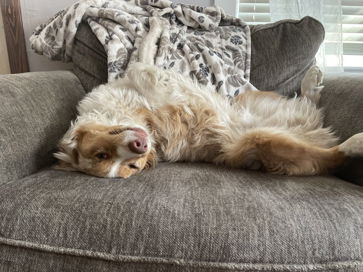 shelly !! 🦖🦴 || rodgers beloved❤️ tweet media