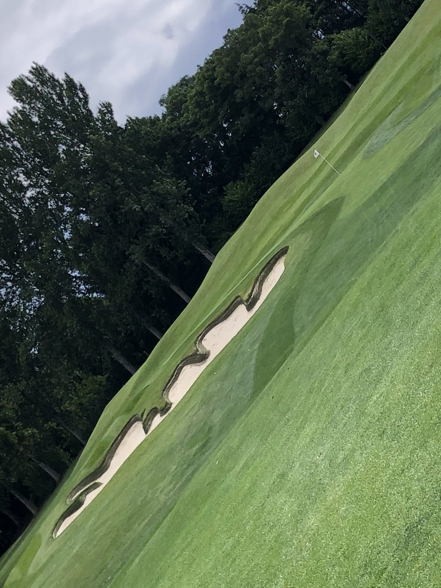 RosemaryKeating's tweet photo. Swap Day Tuesday @Hermitagegolfc was a lovely experience ⛳️the course is so well manicured, scenic &amp; mature- that 10th !⛳️some of the magnificent trees are 650 years old. The staff in restaurant so lovely. Thank you from happy swappers💚 https://t.co/IA4pP8G3tk